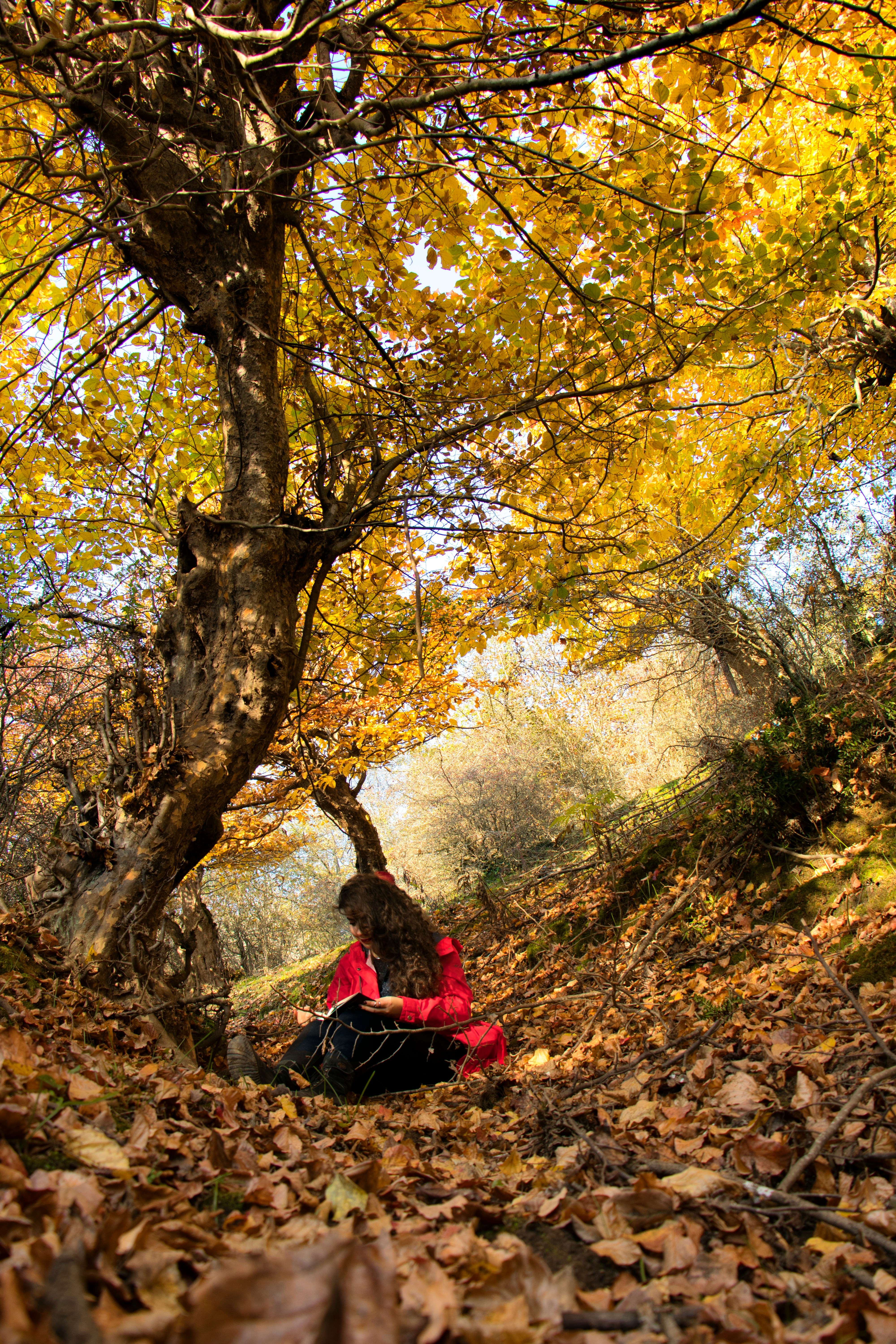 今日热度破圈推荐封面图